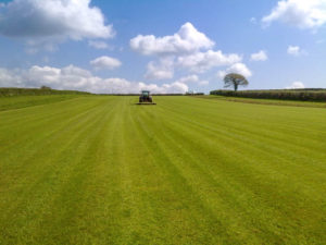 Finished small lawn in Tavistock
